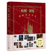 [N]哈利·波特解析场景设定(精)-9787515368610