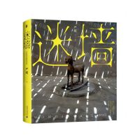 [N]迷墙(精)-9787559865144