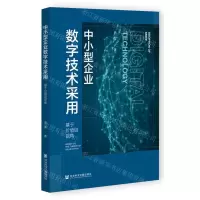 [N]中小型企业数字技术采用(基于价值链视角)-9787522825335