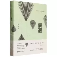 [N]偶遇(北京追梦故事)(精)/陈武文集-9787520542197