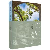 [N]一片繁华海上头(精)/华夏之旅丛书-9787559865649