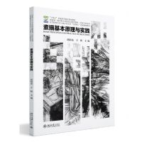 [N]素描基本原理与实践(高等院校艺术与设计类专业互联网+创新规划教材)/绘画专业系列-9787301344910
