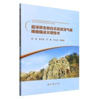 [N]超深微生物白云岩岩溶气藏精细描述关键技术-9787518362592