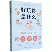 [N]好玩具是什么(用玩具走进孩子的心)-9787571433505
