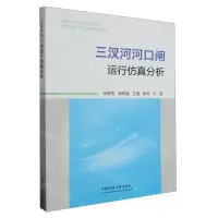 [N]三汊河河口闸运行仿真分析-9787564659516