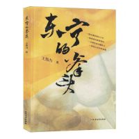 [N]东宁的拳头-9787531760429