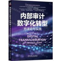 [N]内部审计数字化转型(方法论与实践)-9787111740841