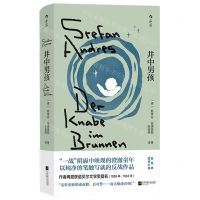 [N]井中男孩(精)-9787559480699