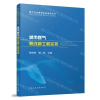[N]城市燃气瓶改管工程实务/燃气行业管理实务系列丛书-9787112294121