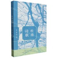 [N]杜甫诗歌鉴赏辞典/中国文学名家名作鉴赏-9787532661176
