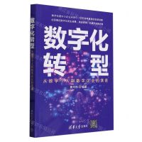 [N]数字化转型(从数字个人到数字企业的演进)-9787302644231