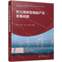 [N]长三角新型储能产业发展战略(精)-9787122444837