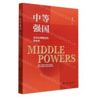 [N]中等强国(全球治理崛起的新角色)-9787522826622