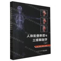 [N]人体影像断层与三维解剖学(上下)-9787561591123