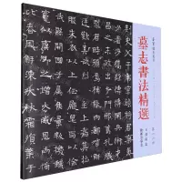 [N]墓志书法精选(第16册王君墓志独孤公墓志)-9787500325253