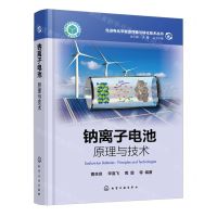 [N]钠离子电池(原理与技术)(精)/先进电化学能源存储与转化技术丛书-9787122435217