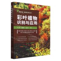 [N]彩叶植物识别与应用/美丽中国园林美化绿化丛书-9787109315709