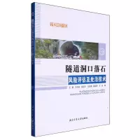 [N]隧道洞口落石风险评估及处治技术/学术研究专著-9787561287361