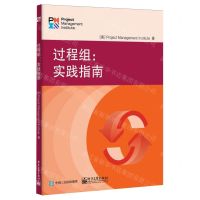 [N]过程组--实践指南-9787121468285