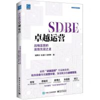 [N]SDBE卓越运营(战略蓝图的高效兑现之道)/SDBE管理实践丛书-9787121474507