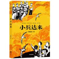 [N]小兵达来/追光的少年成长小说系列-9787521756357