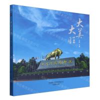 [N]大美大旺(精)-9787517913627