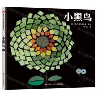 [N]小黑鸟(精)-9787572808432