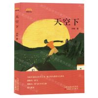 [N]天空下/苏电文丛-9787530687086