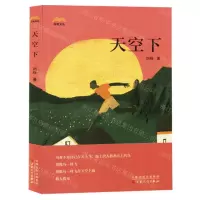 [N]天空下/苏电文丛-9787530687086