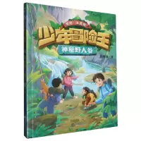 [N]神秘野人谷(美绘注音版)/少年冒险王-9787550519688