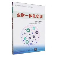 [N]业财一体化实训(普通高等教育会计信息化系列教材)-9787302657941