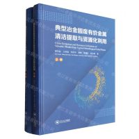 [N]典型冶金固废有价金属清洁提取与资源化利用(上下)(精)-9787548756323