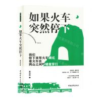 [N]如果火车突然停下(精)-9787515371931