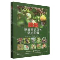[N]腰果病虫害识别与防治图谱-9787109316607