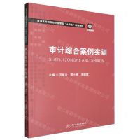 [N]审计综合案例实训(互联网+普通高等教育经济管理类十四五规划教材)-9787577207766