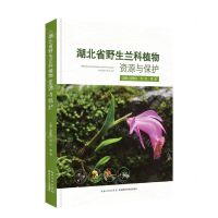 [N]湖北省野生兰科植物资源与保护(精)-9787570630738
