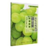 [N]阳光玫瑰葡萄精品果培育技术/葡萄产业促振兴丛书-9787109318618
