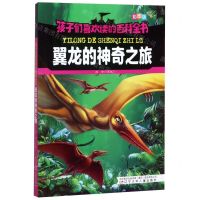 [N]翼龙的神奇之旅(彩图版)/孩子们喜欢读的百科全书-9787531578154