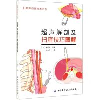 [N]超声解剖及扫查技巧图解/超声扫查技术丛书-9787571402532