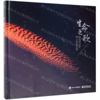 [N]生命之歌(镜头背后的身心重生之路)(精)-9787121367403