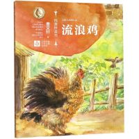 [N]流浪鸡/纯美桥梁书-9787558412851