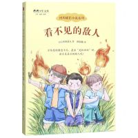 [N]看不见的敌人/河川成长小说系列/将将少年文库-9787521704235