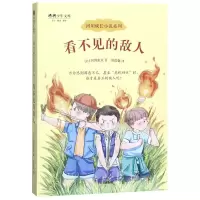 [N]看不见的敌人/河川成长小说系列/将将少年文库-9787521704235