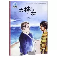 [N]大林和小林/中国儿童文学大视野丛书-9787520205382