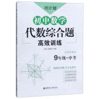 [N]初中数学代数综合题高效训练(9年级+中考)/周计划-9787562860587