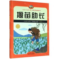 [N]揠苗助长(精)/悦读约经典中国成语故事绘本-9787559527226