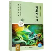 [N]海底两万里(7年级适读名师导读版)/名著导读同步阅读书系-9787558617201