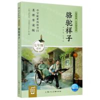 [N]骆驼祥子(7年级适读名师导读版)/名著导读同步阅读书系-9787558617195