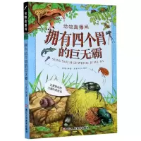 [N]拥有四个胃的巨无霸(这里是动物力量的竞技场)/动物直播间-9787534083563