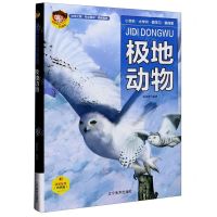 [N]极地动物(有声版)(精)/聪颖宝贝科普馆-9787531488392